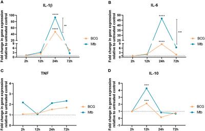 Impaired macrophage and memory T-cell responses to Bacillus Calmette-Guerin nonpolar lipid extract